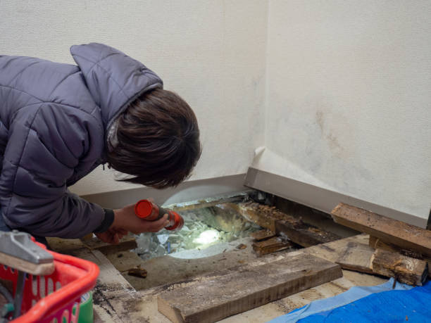 Best Mold Remediation for Vacation Homes  in Hugoton, KS