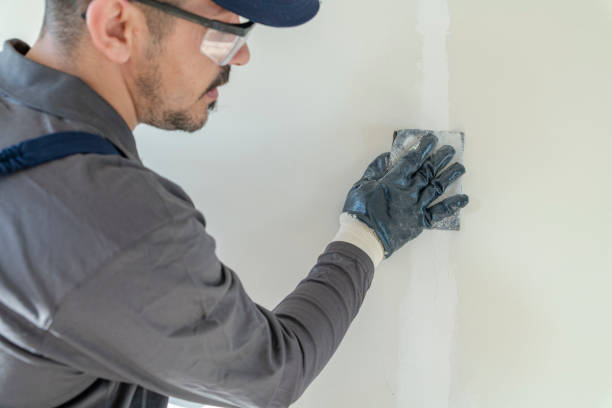 Best Real Estate Mold Inspection  in Hugoton, KS