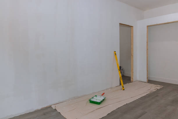 Best Attic Mold Removal  in Hugoton, KS