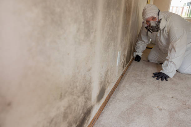 Best Dehumidification Services  in Hugoton, KS