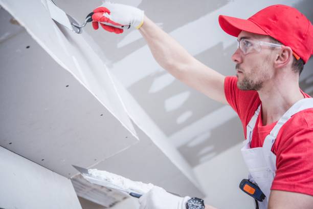 Best Basement Mold Removal  in Hugoton, KS