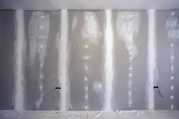 Best Mold Remediation for Healthcare Facilities  in Hugoton, KS